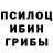 Псилоцибиновые грибы Cubensis Davonte Smith