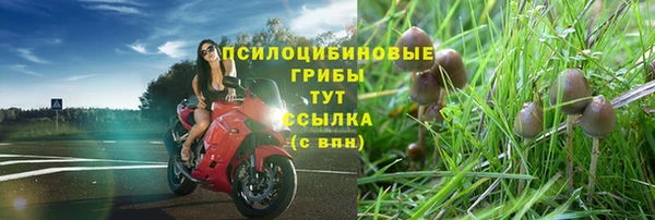 экстази Великий Новгород