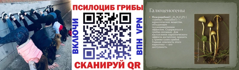 Галлюциногенные грибы мухоморы  гидра ССЫЛКА  Сычёвка 