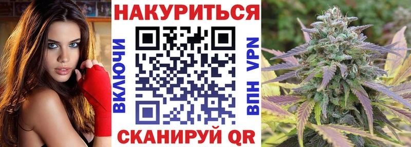 Бошки Шишки сатива  Сычёвка 